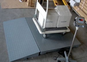 專(zhuān)業(yè)直供 1噸、2噸、3噸電子地磅與配套網(wǎng)絡(luò)技術(shù)服務(wù)，一站式解決方案